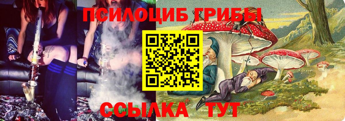Псилоцибиновые грибы прущие грибы  Вход с VPN  Псилоцибиновые грибы мицелий  где можно купить   Саянск 